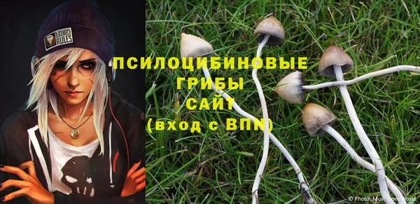 мяу мяу мука Каменка