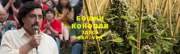 гашик Каменск-Шахтинский