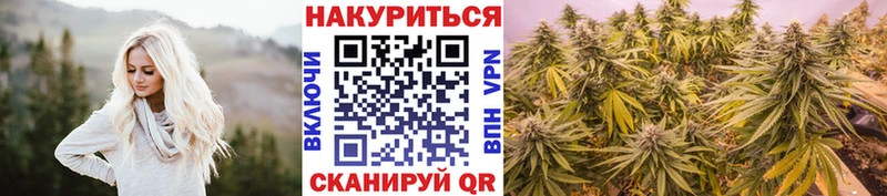 Марихуана сатива  Купить закладки  Магас 